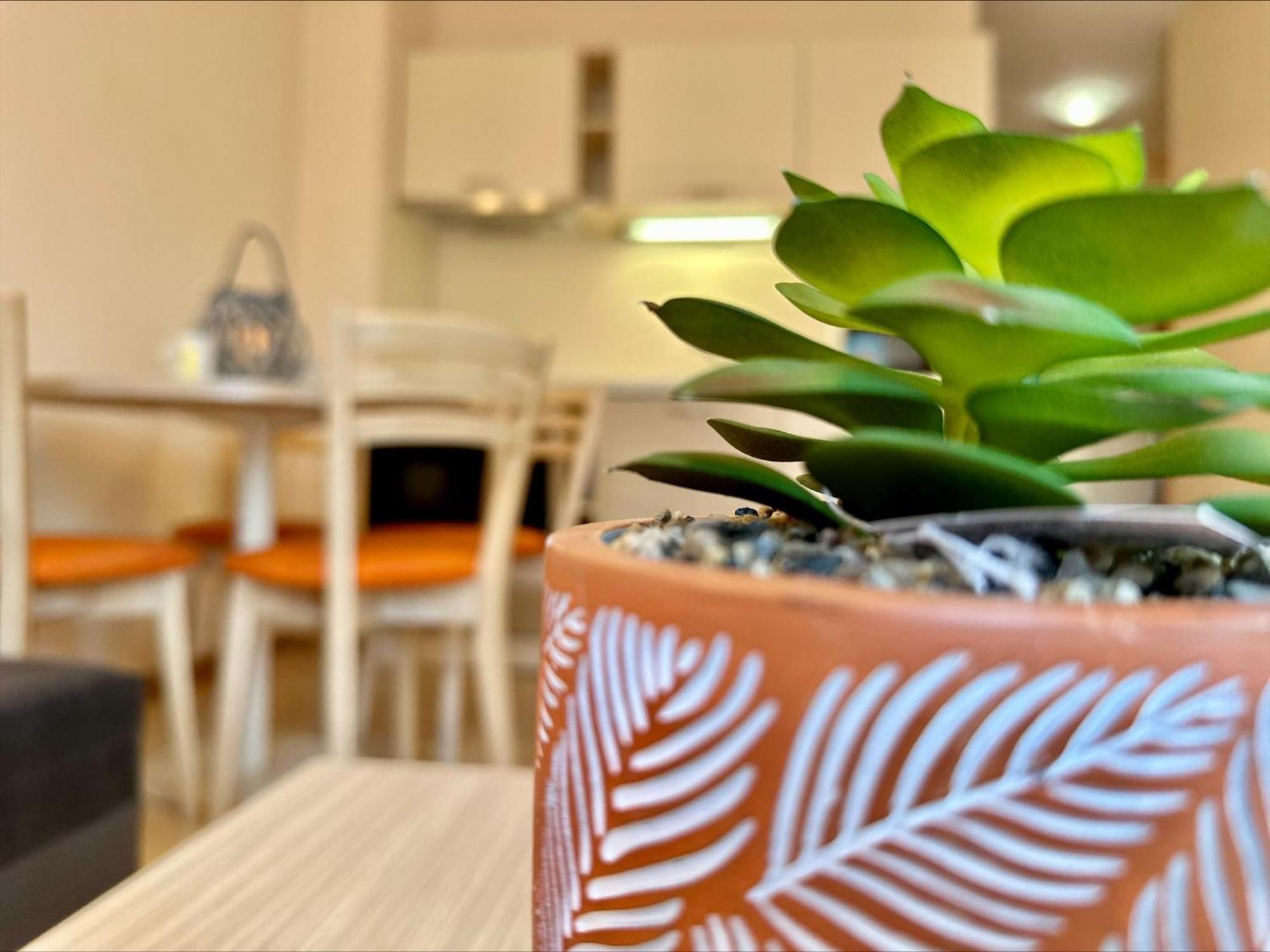 Menada Royal Sun Apartments Σάνι Μπιτς Δωμάτιο φωτογραφία